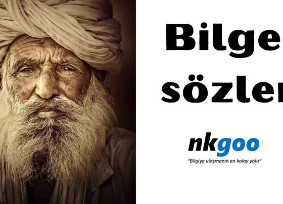 bilge sözler