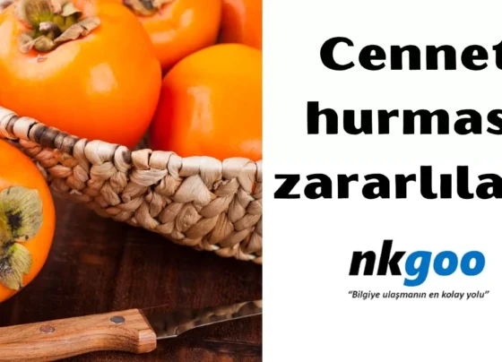 cennet hurması zararlıları