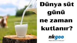 dünya okul süt günü 