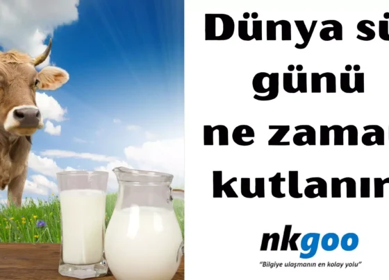 dünya okul süt günü