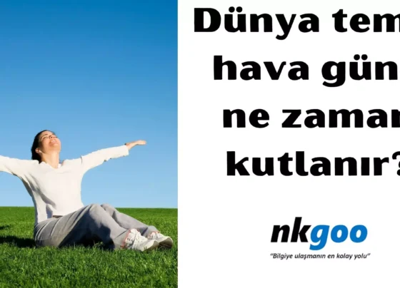 dünya temiz hava günü