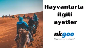 hayvanlarla ilgili ayetler 