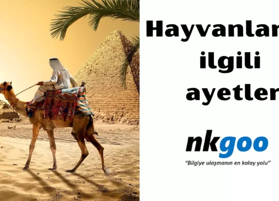 hayvanlarla ilgili ayetler