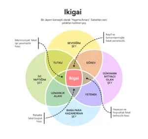 ikigai ne demek 