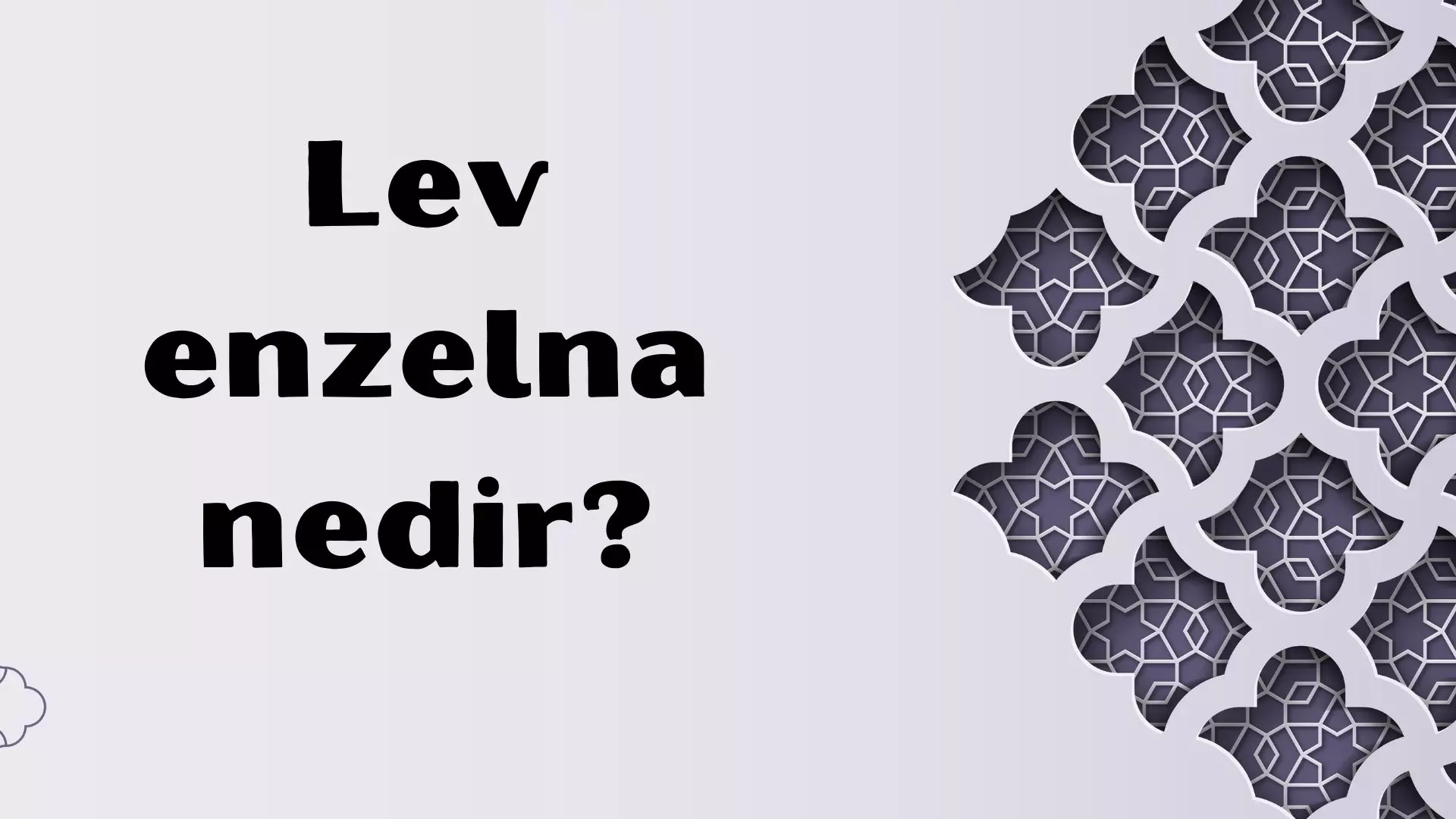 Lev enzelna nedir? 3 farklı anlamı