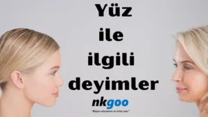 yüz ile ilgili deyimler 