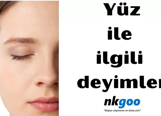 yüz ile ilgili deyimler