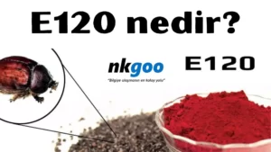 E120 nedir