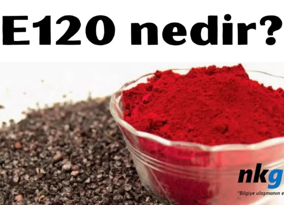 E120 nedir(1)