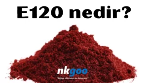 E120 nedir