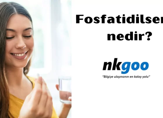 Fosfatidilserin nedir