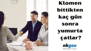 Klomen bittikten kaç gün sonra yumurta çatlar