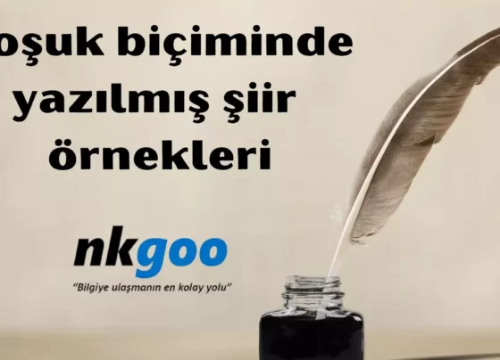 Koşuk biçiminde yazılmış şiir