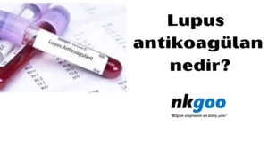 Lupus antikoagülan nedir