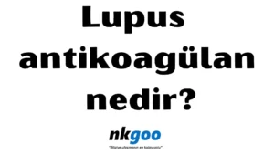 Lupus antikoagülan nedir