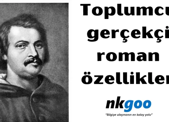 Toplumcu gerçekçi roman özellikleri