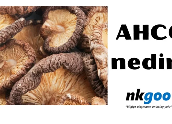 ahcc nedir