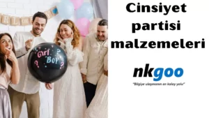 cinsiyet partisi malzemeleri 