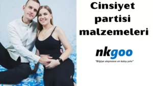 cinsiyet partisi malzemeleri 