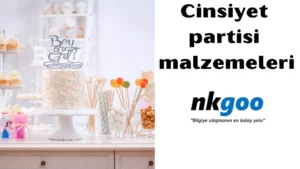 cinsiyet partisi malzemeleri 