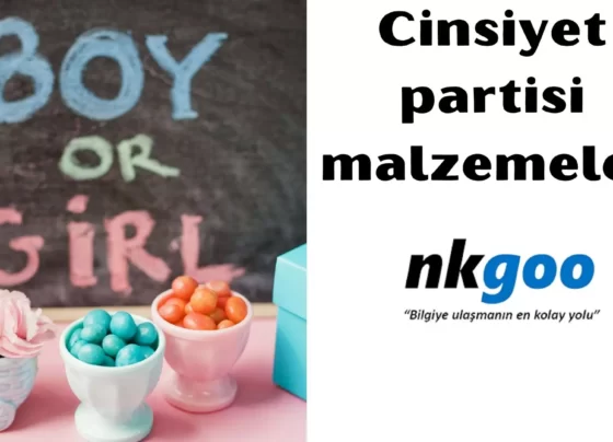 cinsiyet partisi malzemeleri