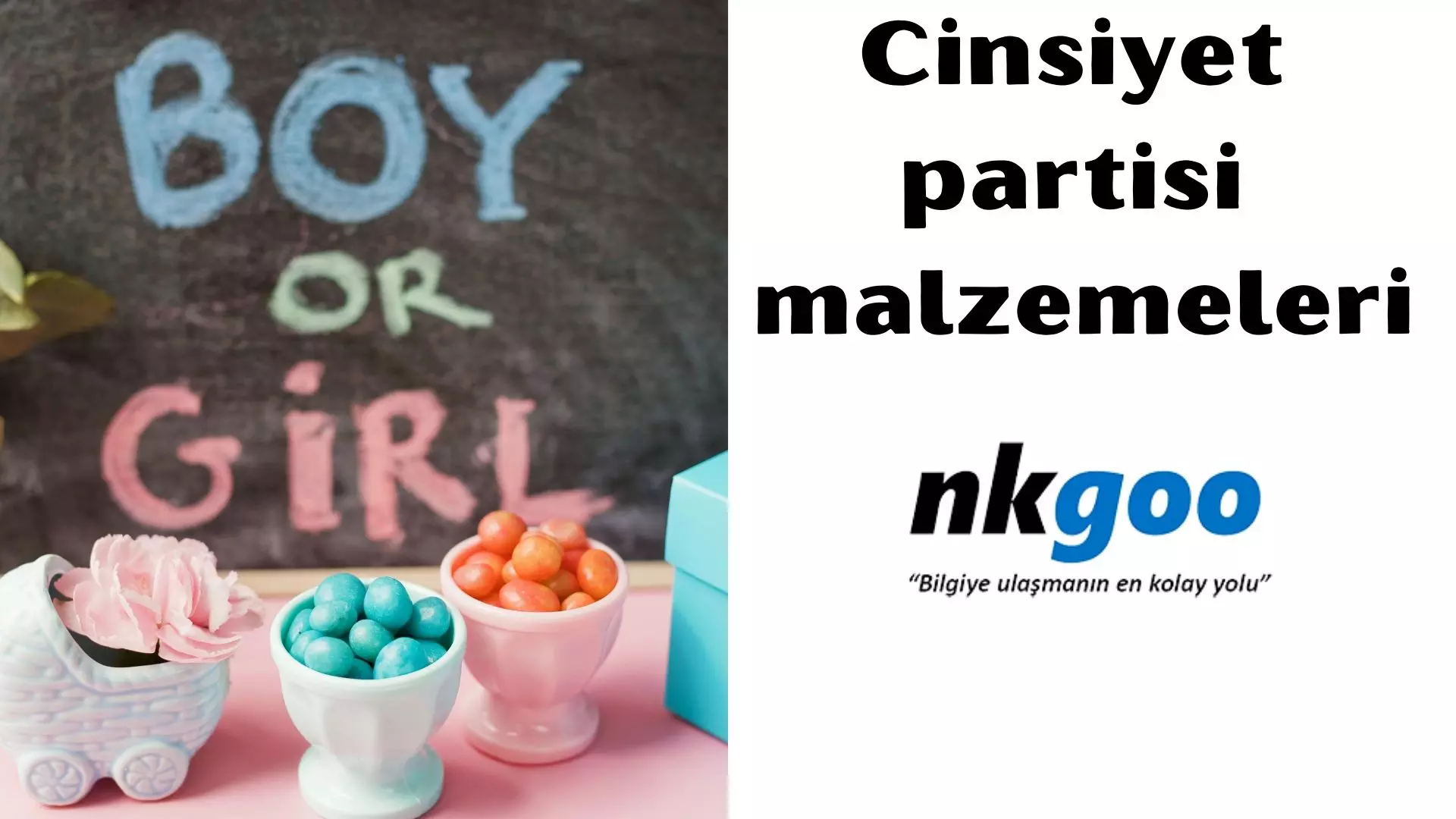 Cinsiyet partisi malzemeleri nelerdir?