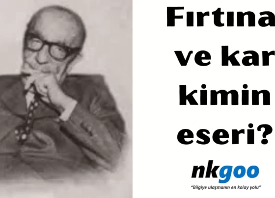 fırtına ve kar