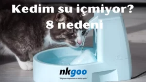 kedim su içmiyor 