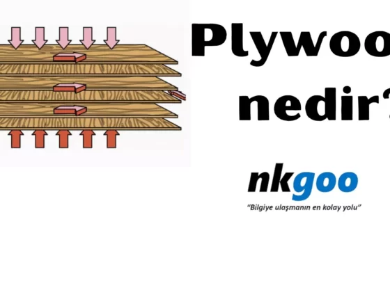 plywood nedir