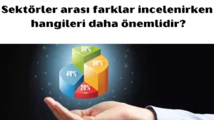 sektörler arası farklar incelenirken hangileri daha önemlidir 