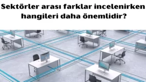 sektörler arası farklar incelenirken hangileri daha önemlidir 