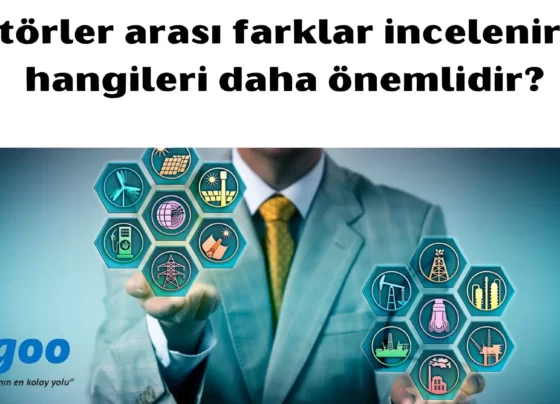 sektörler arası farklar incelenirken hangileri daha önemlidir