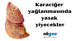 Karaciğer yağlanmasında yasak yiyecekler 