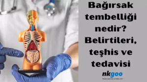 bağırsak tembelliği 