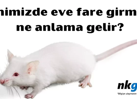 dinimizde eve fare girmesi