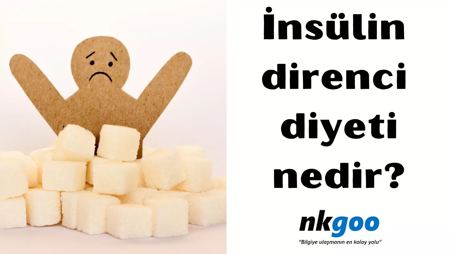 İnsülin direnci diyeti nedir? 9 temel prensibi