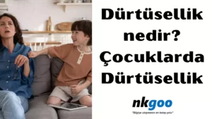 Dürtüsellik nedir 