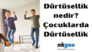 Dürtüsellik nedir 