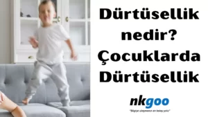 Dürtüsellik nedir 