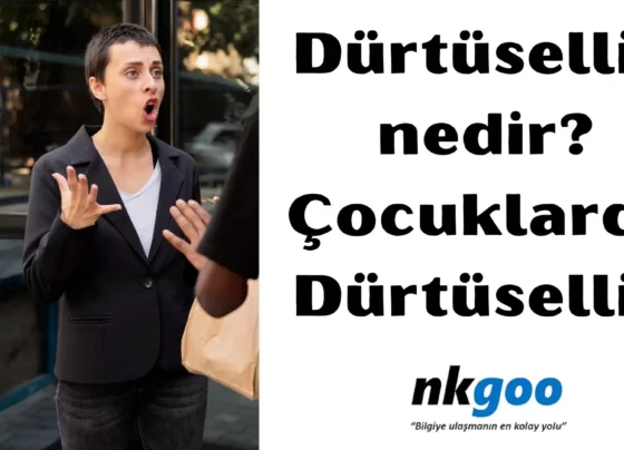 Dürtüsellik nedir