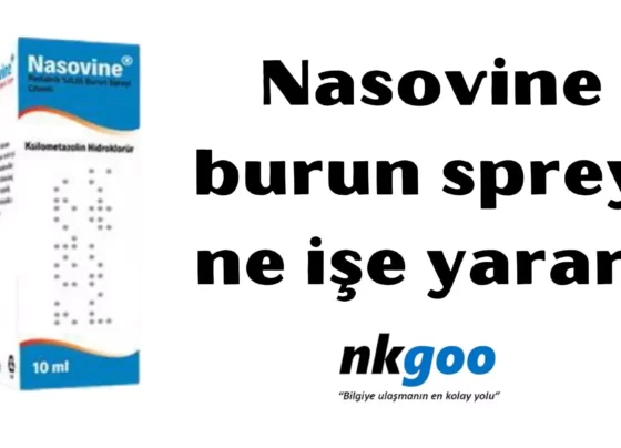 Nasovine burun spreyi