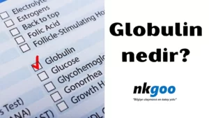 globulin nedir 