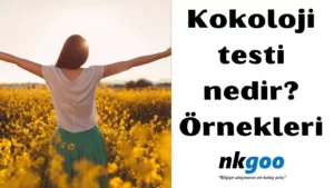 kokoloji testi 