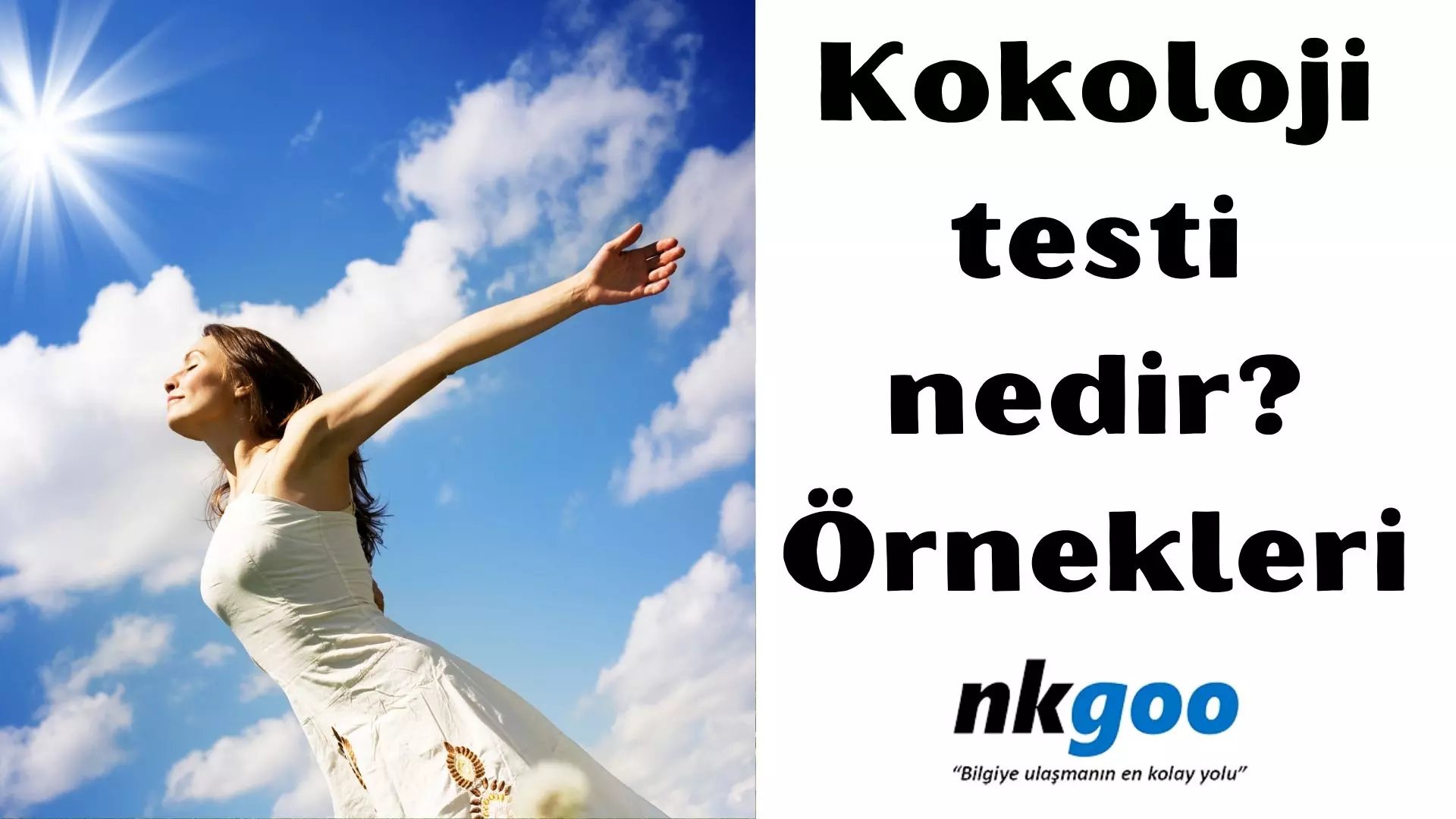 Kokoloji testi nedir? Örnekler, Detaylı bilgiler