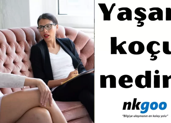 yaşam koçu nedir