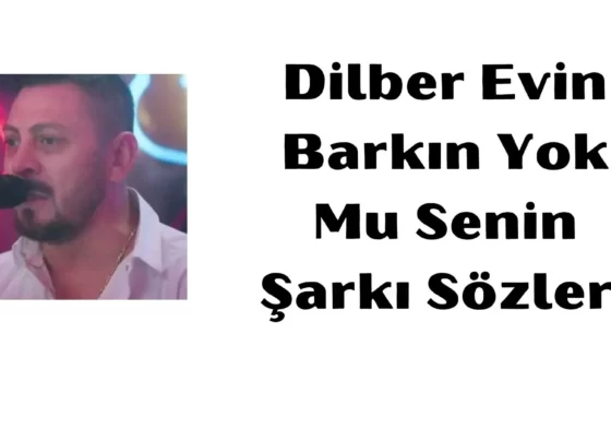 Dilber Evin Barkın Yok Mu Senin Şarkı Sözleri