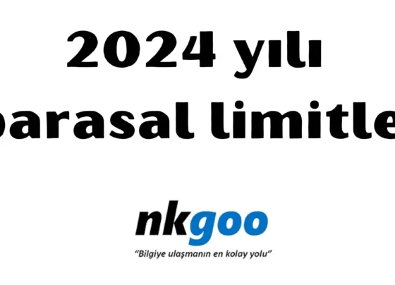 parasal limitler 2024