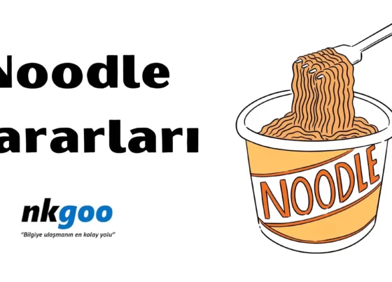 Noodle zararları