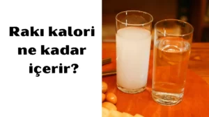 rakı kalori 