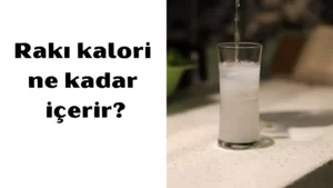 rakı kalori 